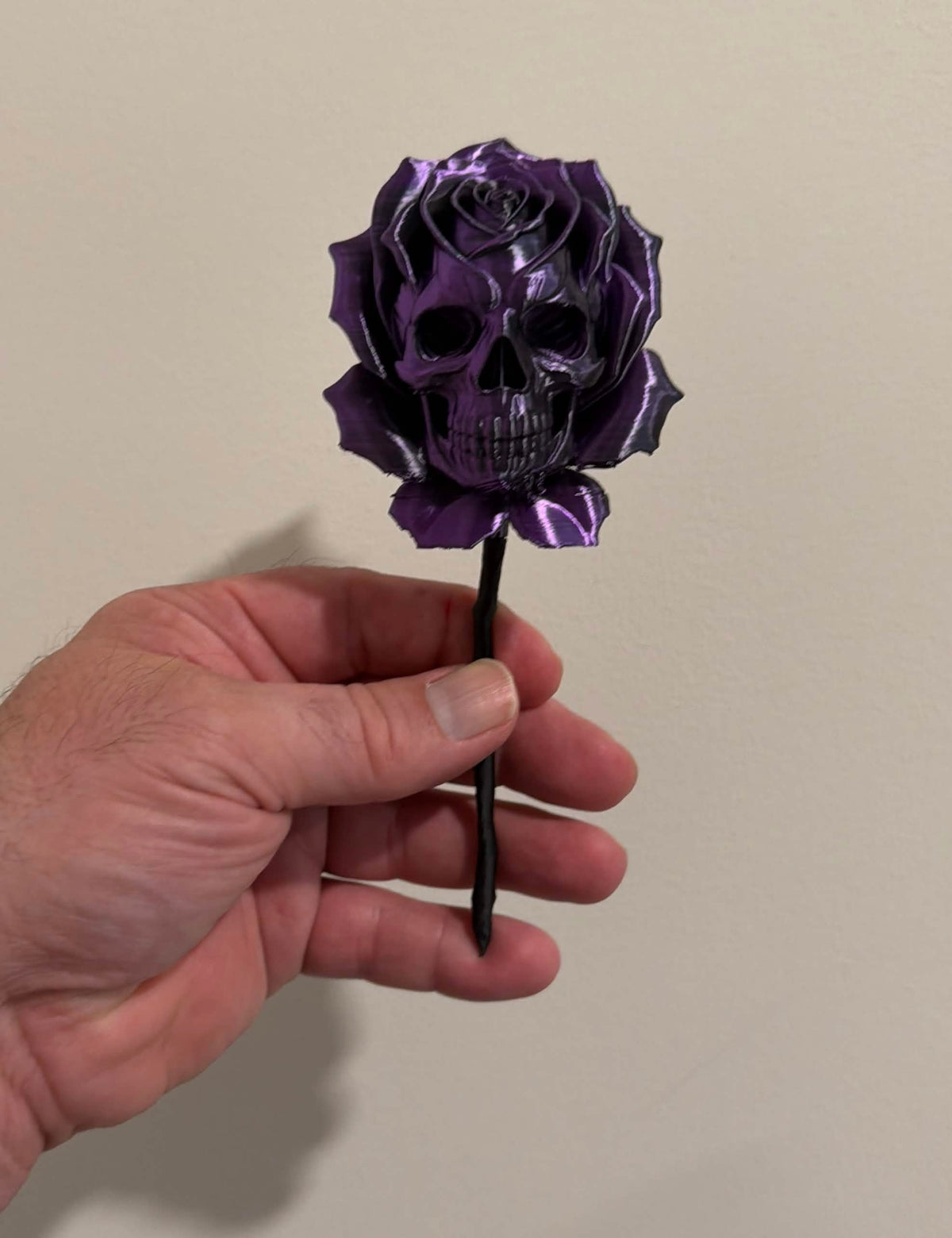 A Rose with a Darker Side